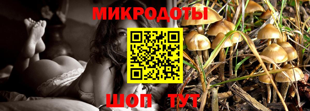 Галлюциногенные грибы MAGIC MUSHROOMS  Галлюциногенные грибы MAGIC MUSHROOMS  Шадринск  Вход с VPN 